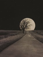 Moonlit Country Road Fine Art Print