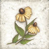 Yellow Coneflowers Fine Art Print