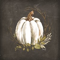 White Pumpkin Fine Art Print