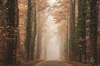 Foggy Autumn Road Fine Art Print