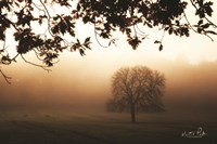 Under the Leaves Fine Art Print