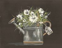 Watering Can Daisy Fine Art Print