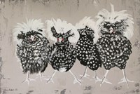 Polish Chickens Fine Art Print