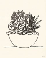 Succulent Basket I Fine Art Print