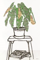 House Plant Study I Fine Art Print