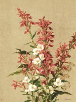 Meadow Flowers 2 Framed Print