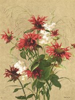 Meadow Flowers 3 Framed Print