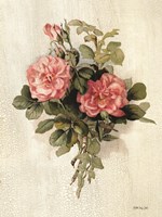 Pink Roses Fine Art Print