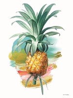 Pineapple I Fine Art Print