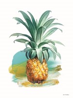 Pineapple II Fine Art Print