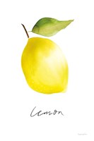 Single Lemon Fine Art Print