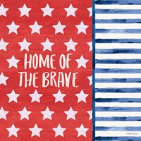 Americana Style VII Framed Print