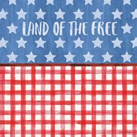 Americana Style VI Framed Print