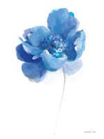 Bold Blooming IV Framed Print