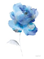 Bold Blooming III Fine Art Print