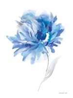 Bold Blooming II Fine Art Print