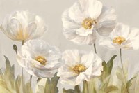 White Anemones Fine Art Print