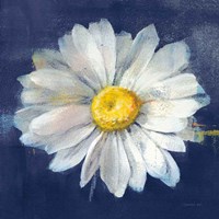 Boldest Bloom II Dark Blue Fine Art Print