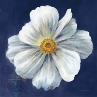 Boldest Bloom I Dark Blue Fine Art Print