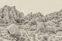 Joshua Tree V Neutral Fine Art Print