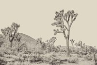 Joshua Tree II Neutral Fine Art Print