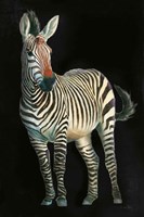 Wild and Free VI Black Fine Art Print