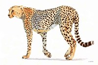 Wild and Free VII Bold Fine Art Print