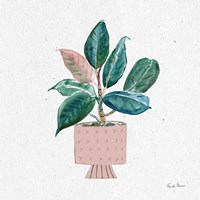 Home Garden IV Framed Print