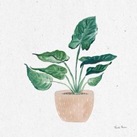 Home Garden III Framed Print