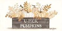 U-Pick Pumpkins Fine Art Print