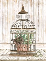 Caged Beauty I Fine Art Print