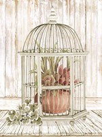 Caged Beauty II Fine Art Print