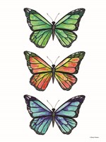 Stacked Wonderful Butterflies Fine Art Print