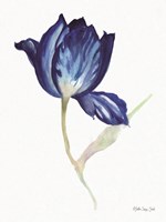 Blue Flower Stem II Fine Art Print