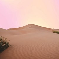 The Calm Dune Fine Art Print