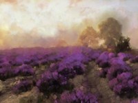 Purple Countryside I Fine Art Print