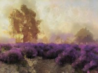 Purple Countryside II Fine Art Print