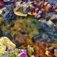 Sea Life IV Fine Art Print