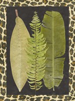 Tropic Collection VII Fine Art Print