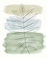 Spring Branch II Fine Art Print