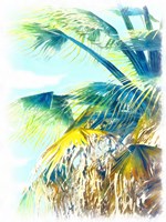 Tropical Glow II Fine Art Print