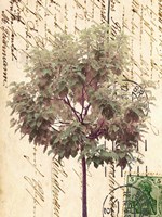 In Good Spirits I Fine Art Print