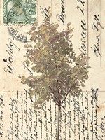 In Good Spirits II Fine Art Print