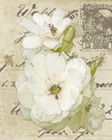 Wishing You Well I Fine Art Print