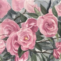 Watercolor Roses II Fine Art Print