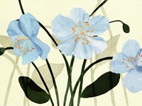 Blue Poppies I Framed Print