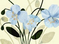 Blue Poppies II Fine Art Print