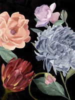 Twilight Blossom II Fine Art Print