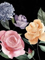 Twilight Blossom IV Fine Art Print