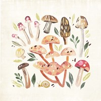 Fungi Field Trip I Fine Art Print
